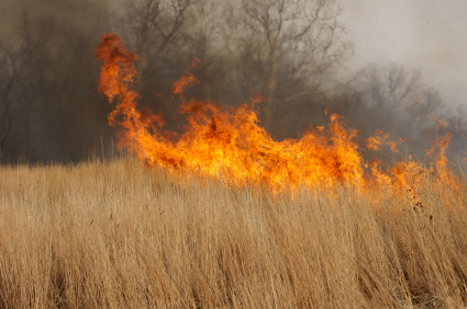 wild fires rage on dry ground